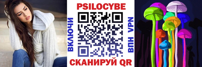 Галлюциногенные грибы Psilocybe  Купить где  Буй 